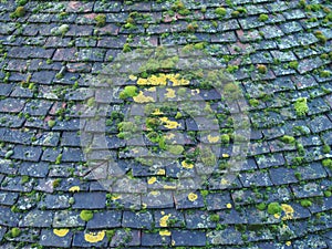 Old overlapping dark terracotta roof tiles covered in green moss and algae