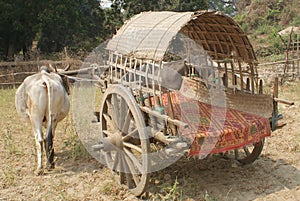 Old ox cart used for transportation in rural Burma