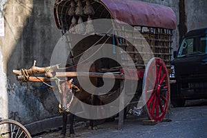 An old oxcart in Galle, Sri Lanka
