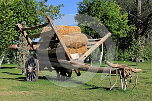 An old oxcart loaded with straw in the garden.