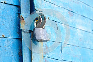 old padlock on a blue metal door with wooden planks cracked paint and rust