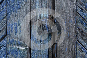 An old padlock on a blue stripped wooden gate. Protect property and privacy. Close-up