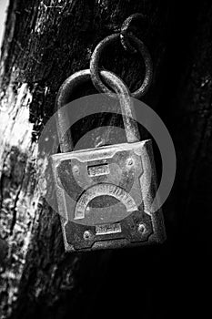 Old padlock hanging on the rotting jamb black and white close up