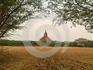 Old Pagoda Bagan Myanmar Trees Vignette