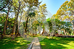 Old pagoda with teak trees in Pa Sak temple