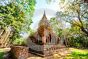 Old pagoda with teak trees in Pa Sak temple