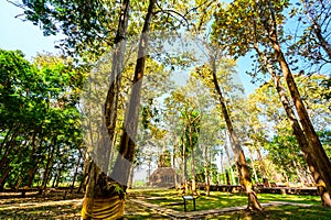 Old pagoda with teak trees in Pa Sak temple