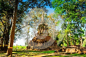 Old pagoda with teak trees in Pa Sak temple