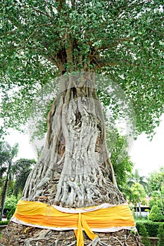 The old pagoda in thailand temple