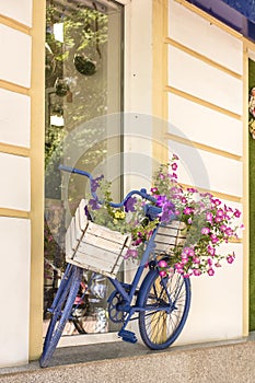 Old painted blue color bicycle with flowers as an ornament