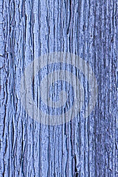 Old painted blue color wooden board