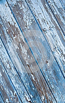 Old painted texture vintage wood background with peeling paint. Painted weathered plain teal blue and white Rustic Wood