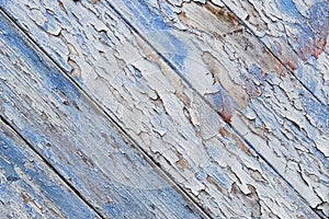 Old painted wooden door background texture