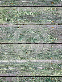 Old painted wooden green background. Weathered cracked texture. Macro Closeup, Textured Crack Pattern