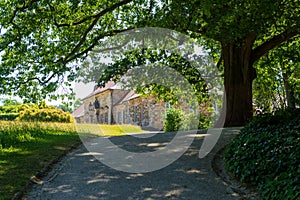 Old palace and tree in park at Hermitage (Eremitage) Museum in Bayreuth, Bavaria, Germany