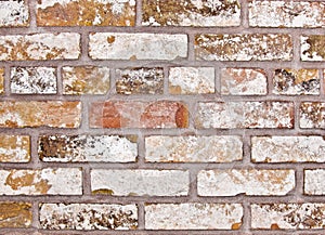 Old Pale Brick Wall