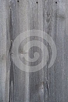 Old pale wood fence texture