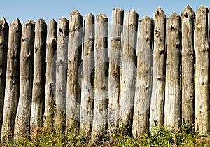 Old paling of sharpened logs