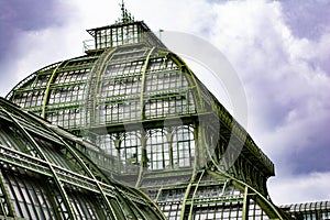 A palmhouse in Vienna