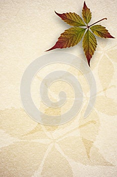 Old paper autumn leaves background