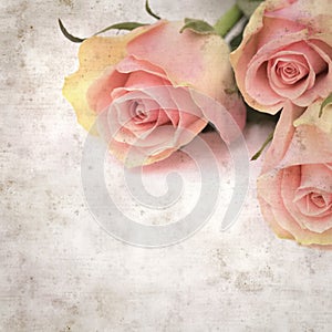Old paper background textured old paper background with unusual pink and green rose
