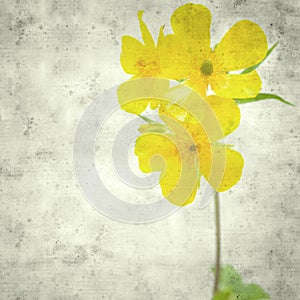 Old paper background photo