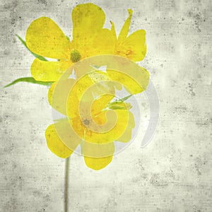 Old paper background photo