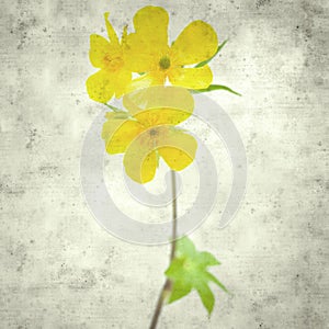 Old paper background photo