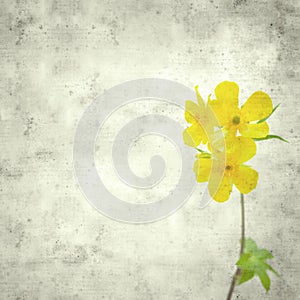 Old paper background photo