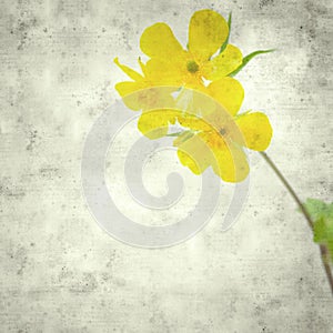 Old paper background photo