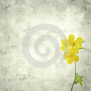 Old paper background photo