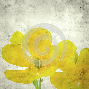 Old paper background photo