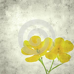 Old paper background photo