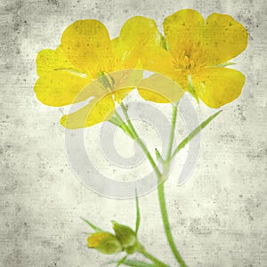 Old paper background photo