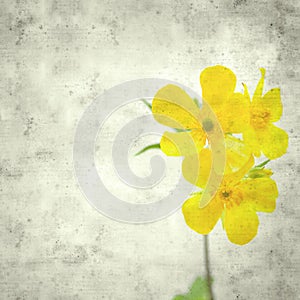 Old paper background photo