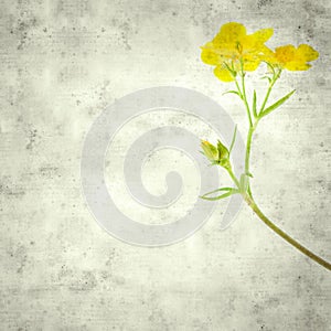 Old paper background photo