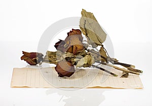 Old paper with roses flower isolated on white