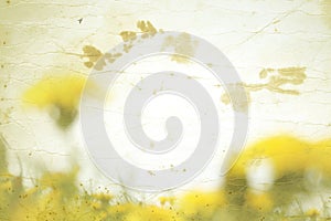 Old paper with spring background