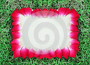 Old paper texture with red roses flower petal edges frame on colorful green grass , copy space for sign  or text valentine  day