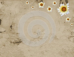 Old parchment of frame and sunflower