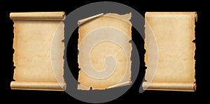 Old Parchment paper scroll set isolated on black. Vertical banners