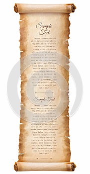 Old parchment paper scroll sheet vintage aged or texture isolated on white background