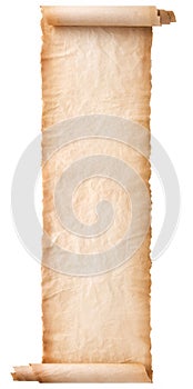 Old parchment paper scroll sheet vintage aged or texture isolated on white background