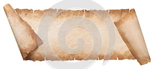 Old parchment paper scroll sheet vintage aged or texture isolated on white background