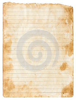 Old parchment paper sheet vintage aged or texture isolated on white background