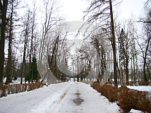 Old park road in winter