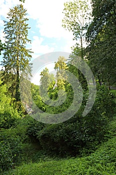 The old park with a small reservoir and century trees, a subject - seasons, art processing.