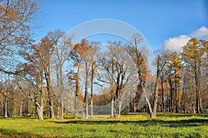 Old park on a sunny autumn day