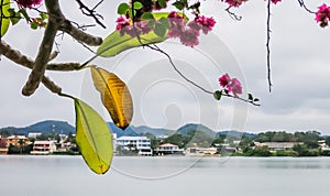 The old part of Flores city located on an island on Lake Peten Itza in the region of Peten Basin in northern Guatemala