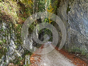 Old passing road in romanian Carpathians Mountains called Cheile Dambovicioarei - touristic attraction in Dambovicioara village